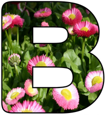 Blumenbuchstabe-B.jpg